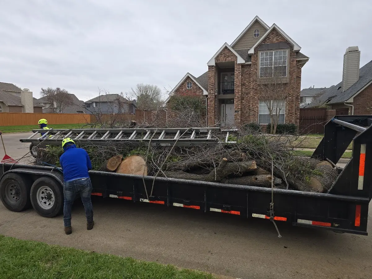 Expert Tree Removal with proper safety equipment in White House